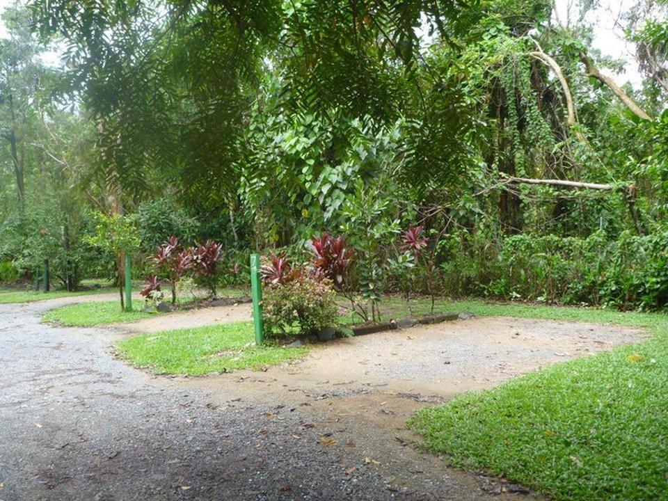 PK's Jungle Village Cape Tribulation Exterior foto